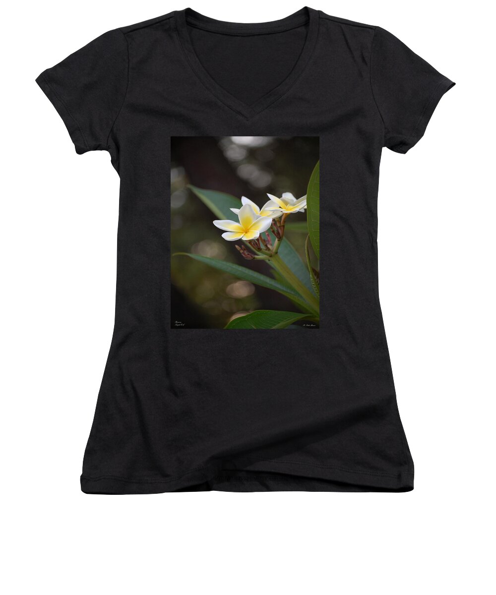 Plumeria Women's V-Neck featuring the photograph Plumeria II by Robert Meanor