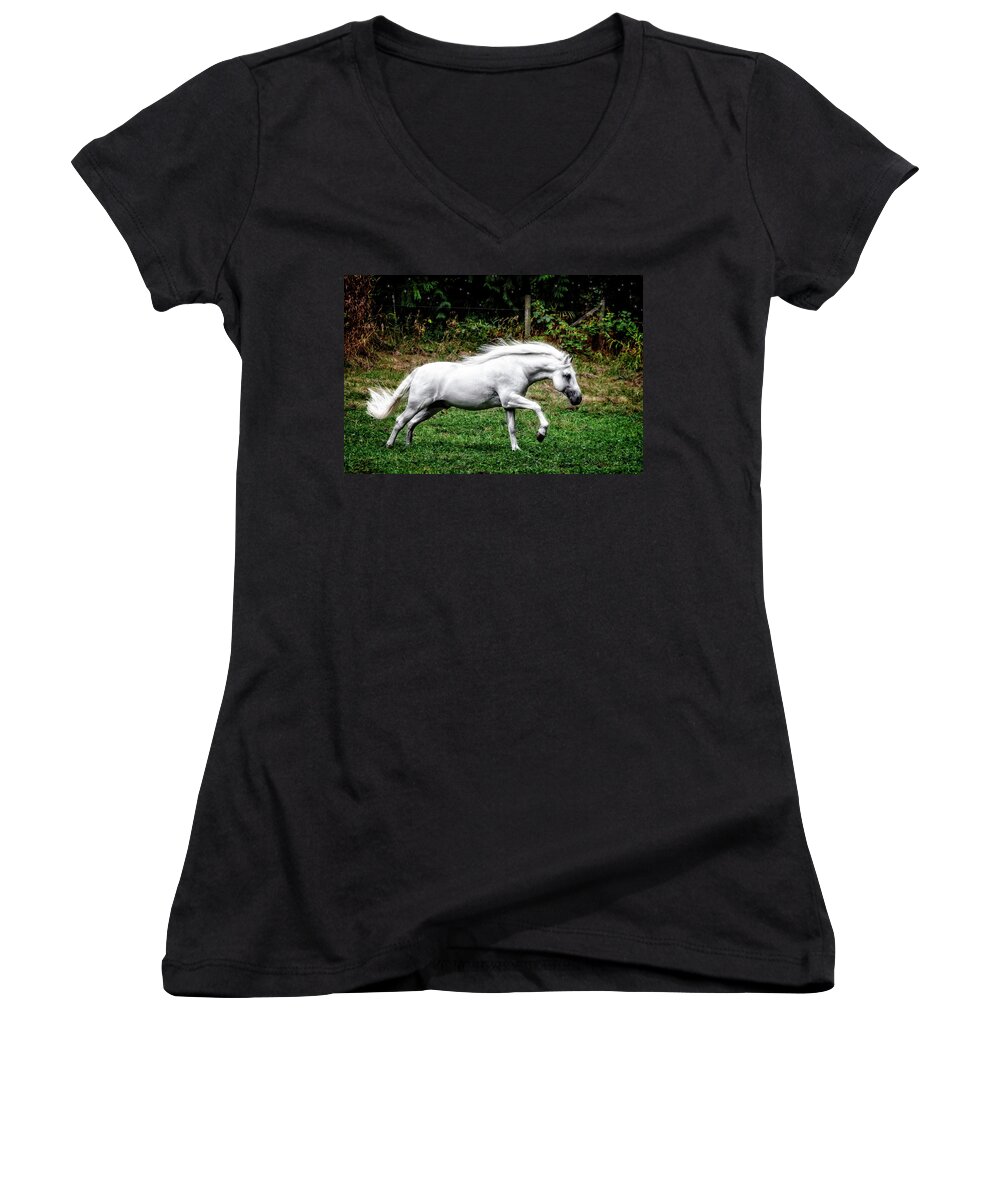 Pure Power Women's V-Neck featuring the photograph Pure Power by Wes and Dotty Weber