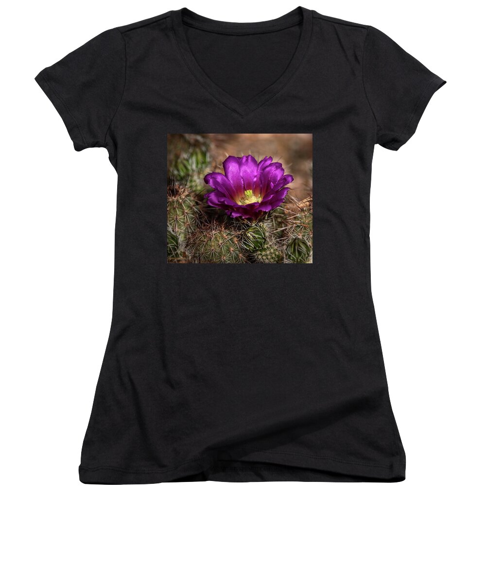 Purple Cactus Flower Women's V-Neck featuring the photograph Purple Cactus Flower by Saija Lehtonen