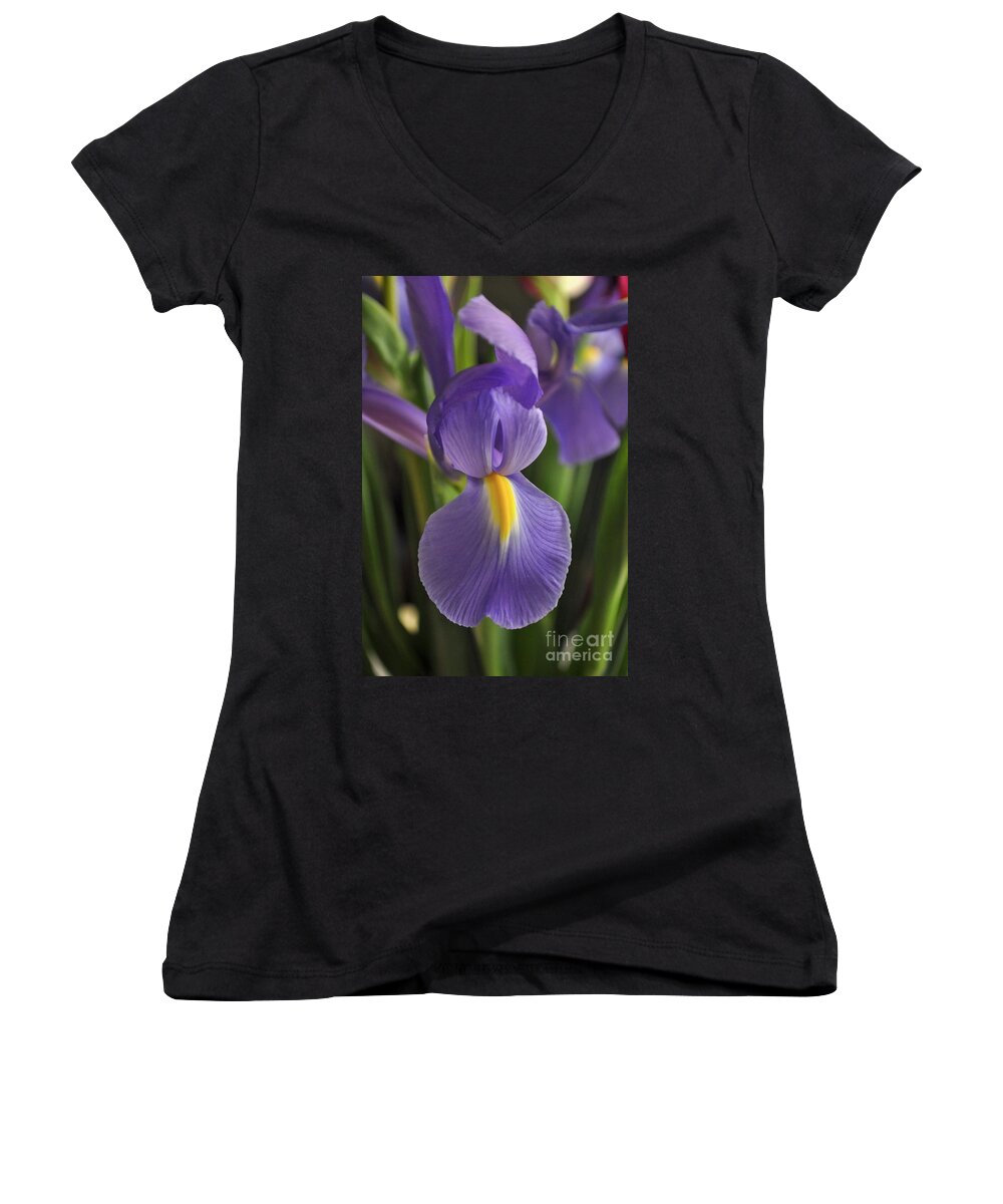 Iris Women's V-Neck featuring the photograph Purple Iris by Bridgette Gomes