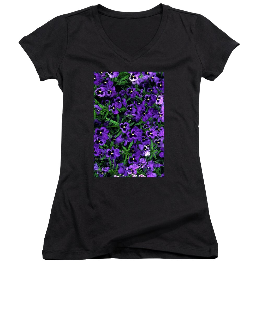 Violas Women's V-Neck featuring the photograph Purple Viola Flowers by Sally Weigand