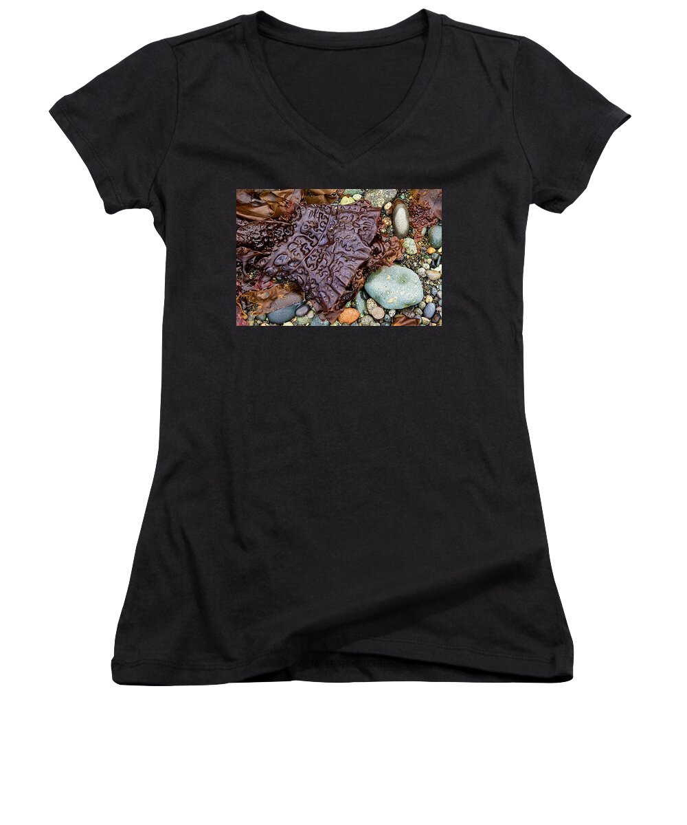 Kelp Women's V-Neck featuring the photograph Put On Your Party Dress - Hedophyllum Sessile by Peggy Collins