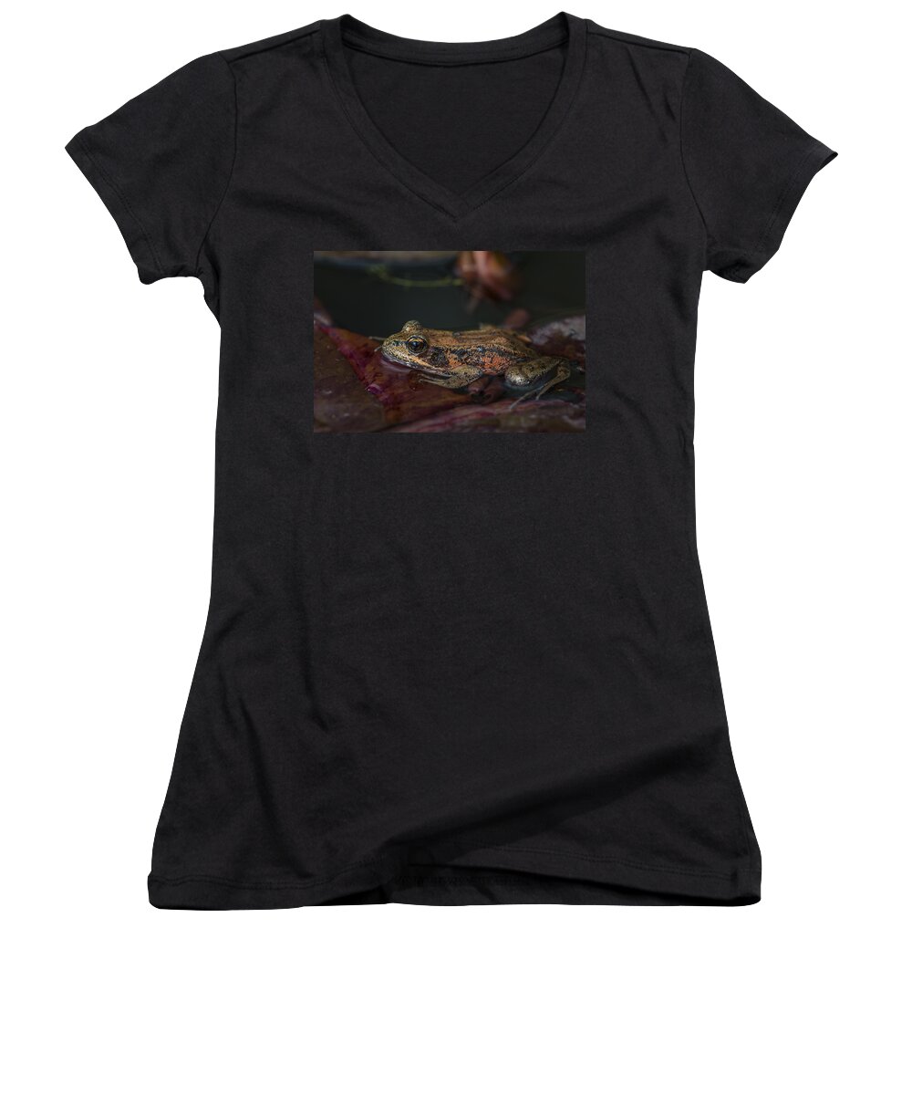 Amphibian Women's V-Neck featuring the photograph Red-legged Frog by Robert Potts
