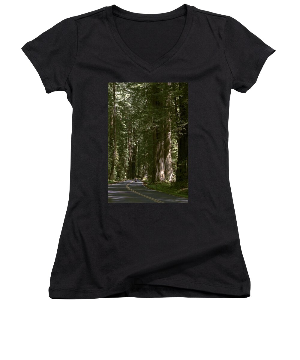 Redwood Highway Women's V-Neck featuring the photograph Redwood Highway by Wes and Dotty Weber