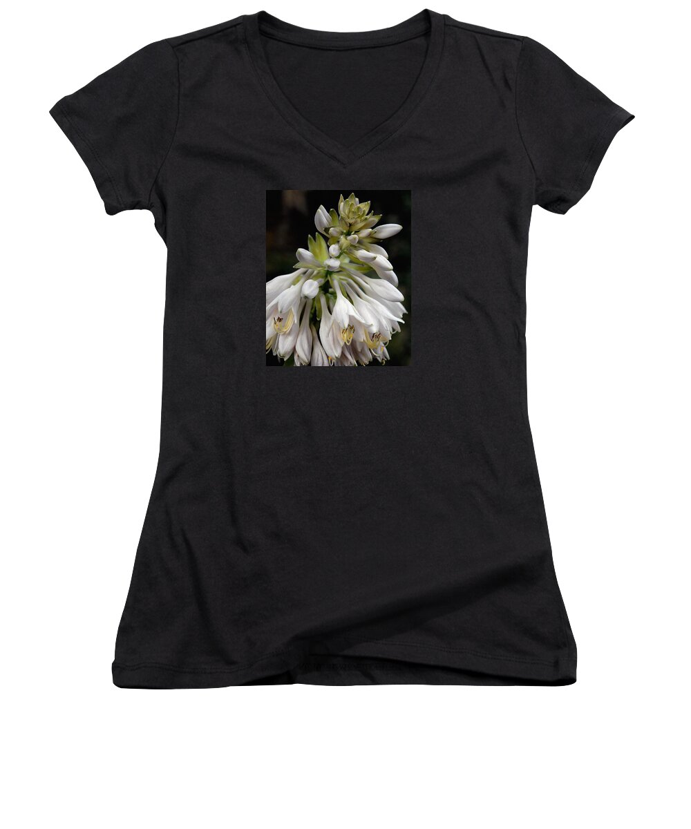 Hosta Women's V-Neck featuring the photograph Renaissance Lily by Marie Hicks