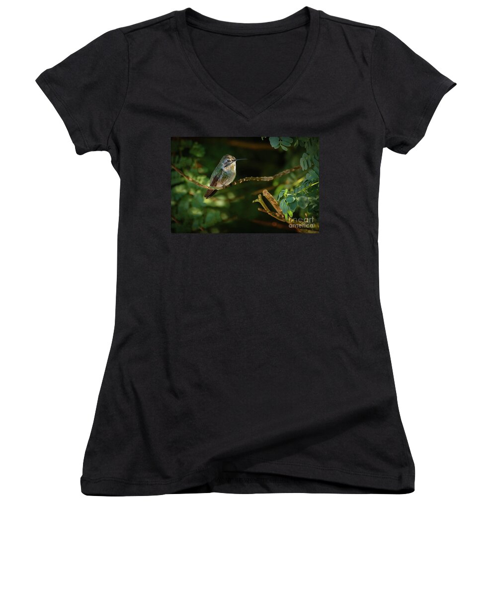 Birds Women's V-Neck featuring the photograph Resting Anna by Robert Bales