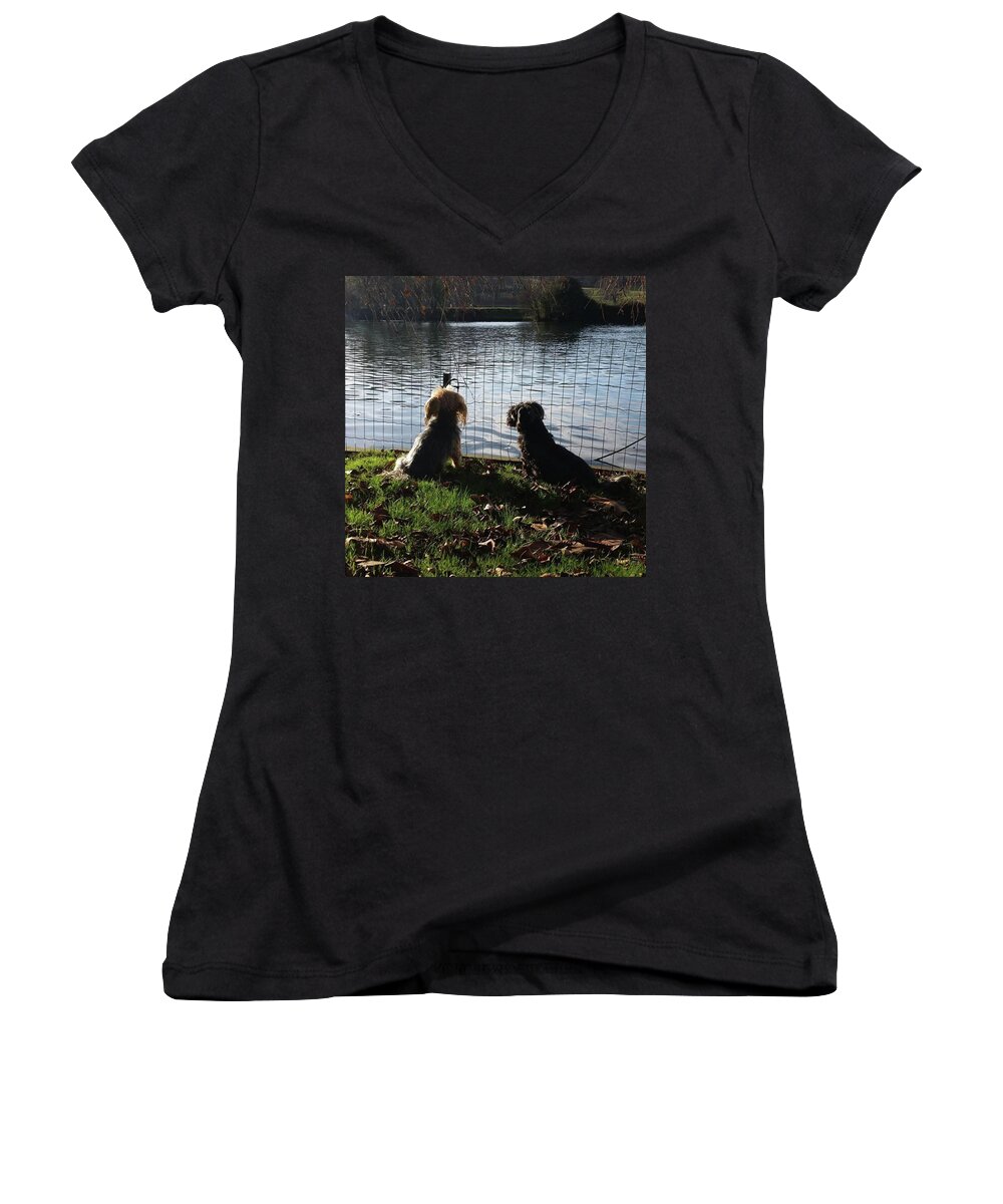 Dog Women's V-Neck featuring the photograph River Gazing by Rowena Tutty