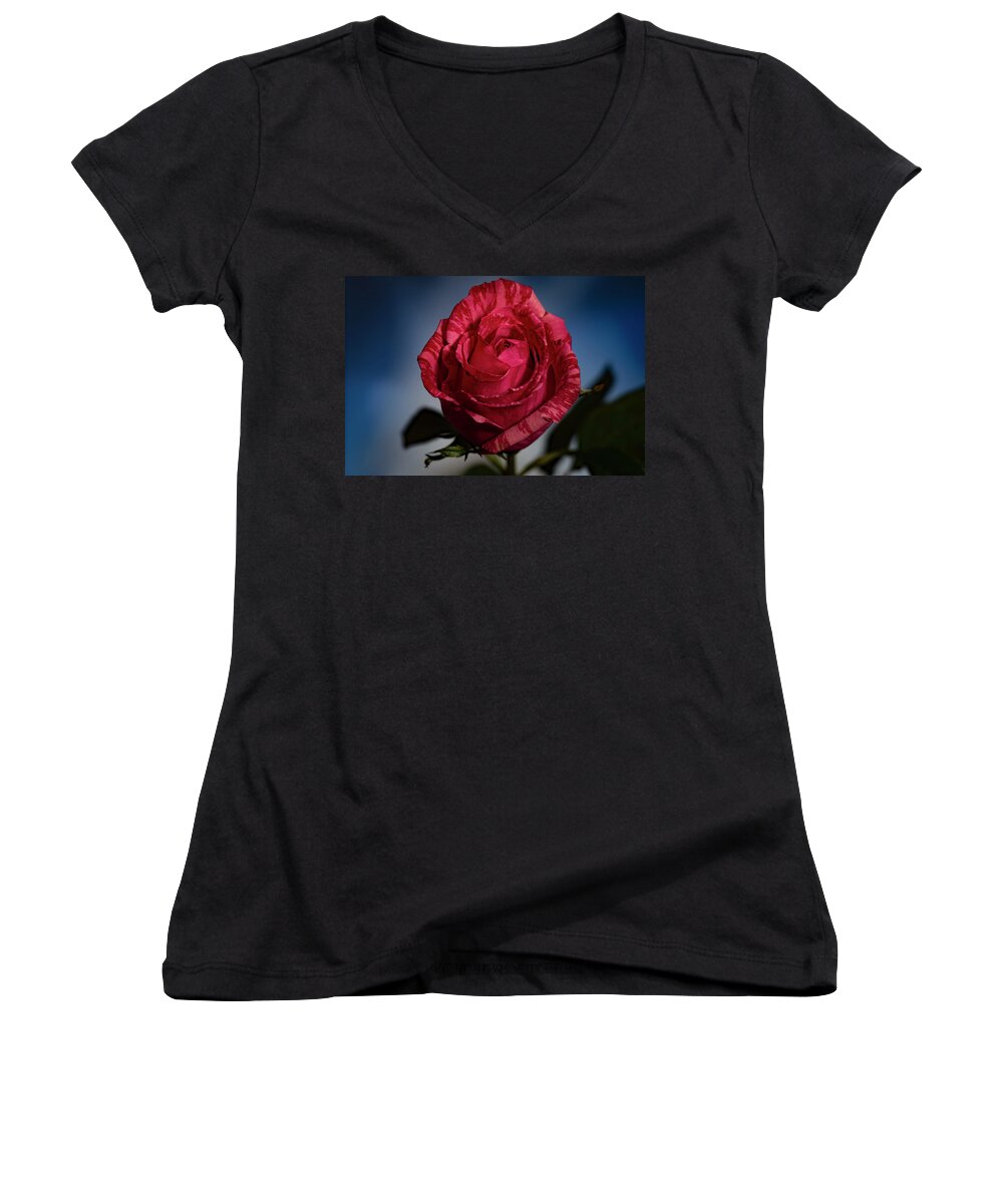 Rose Women's V-Neck featuring the photograph Rose by Allin Sorenson
