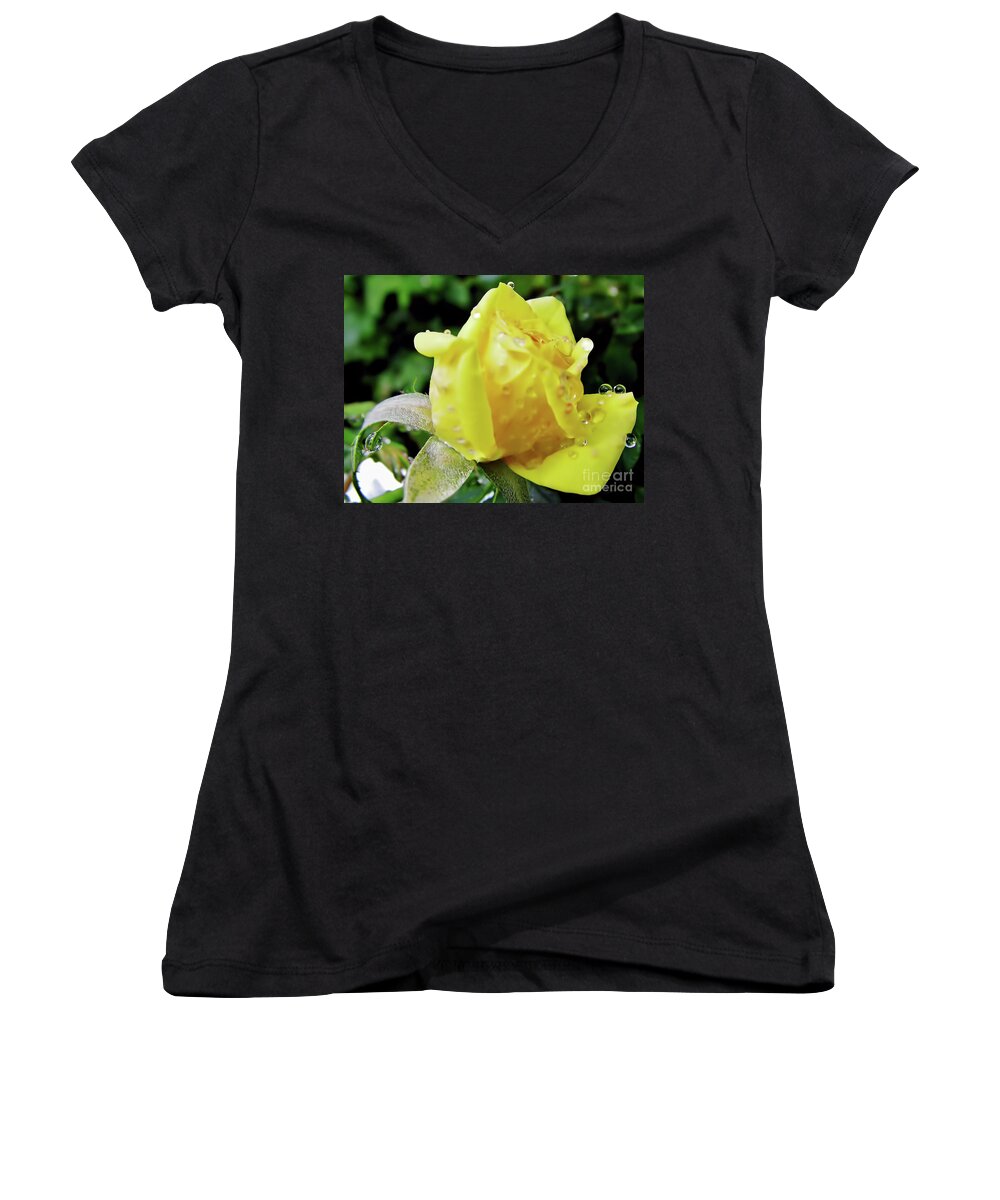Roses Women's V-Neck featuring the photograph Rose Bud Dew Drops by D Hackett