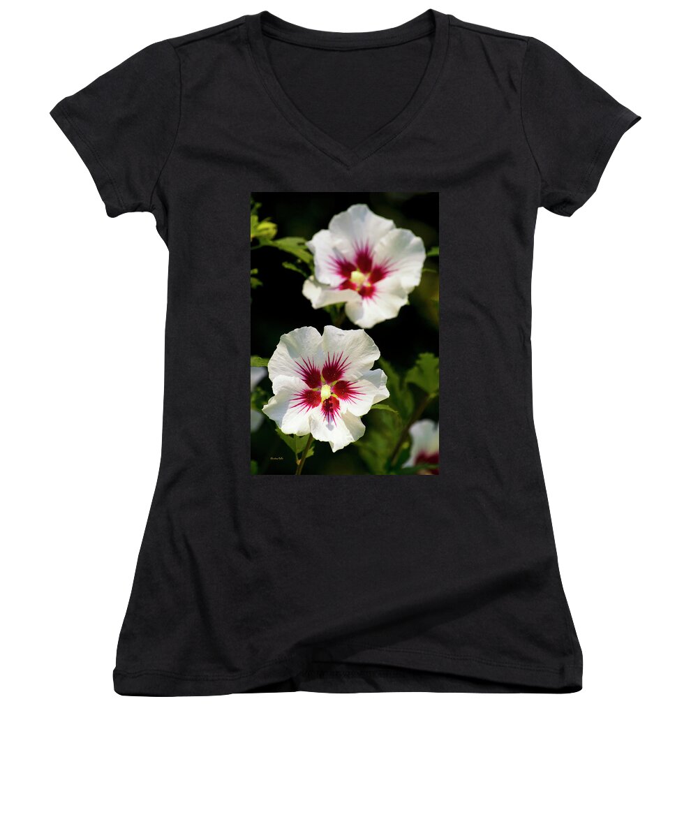 Hibiscus Women's V-Neck featuring the photograph Rose of Sharon by Christina Rollo