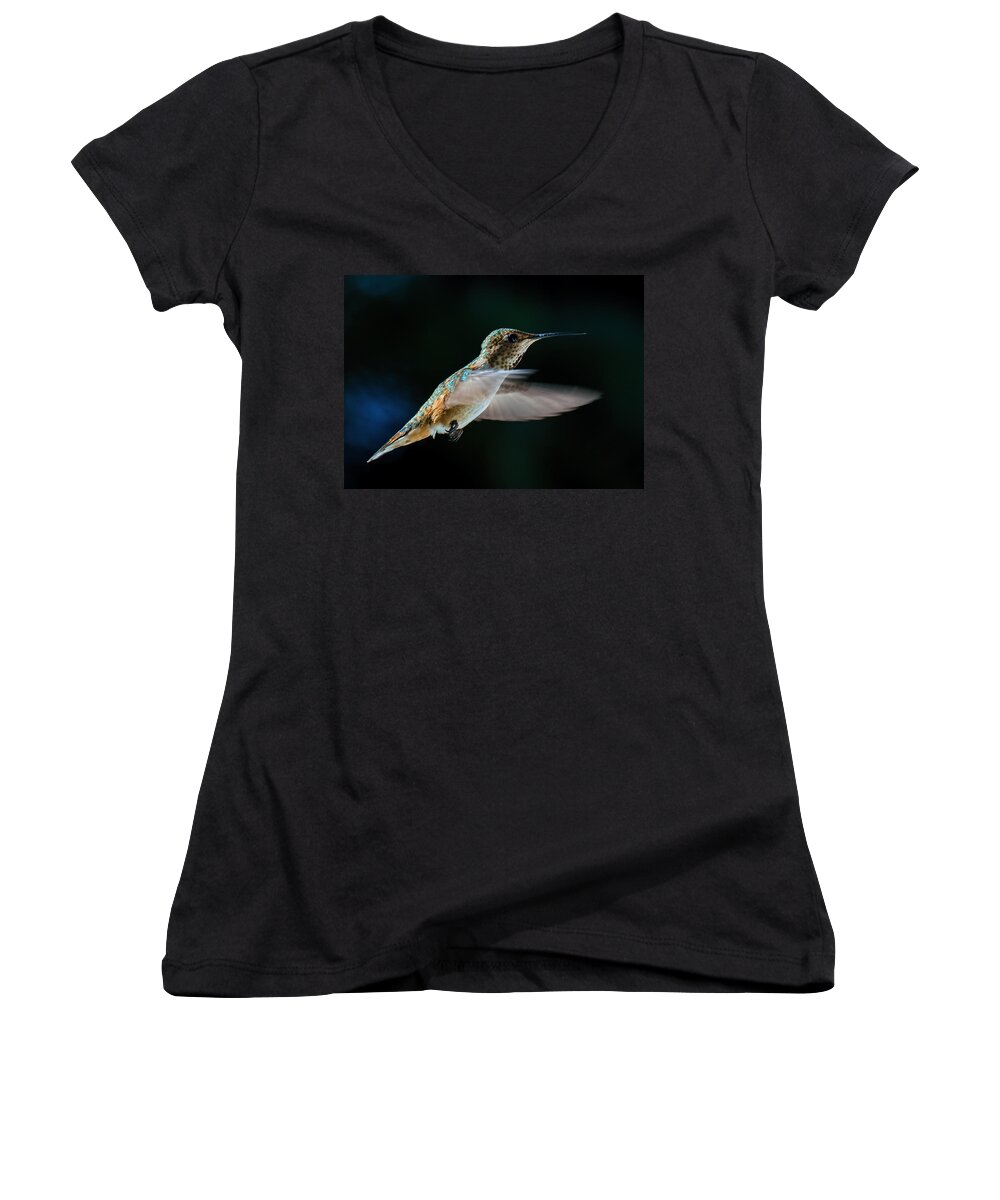 Rufous Hummingbird Women's V-Neck featuring the photograph Rufous by Randy Hall