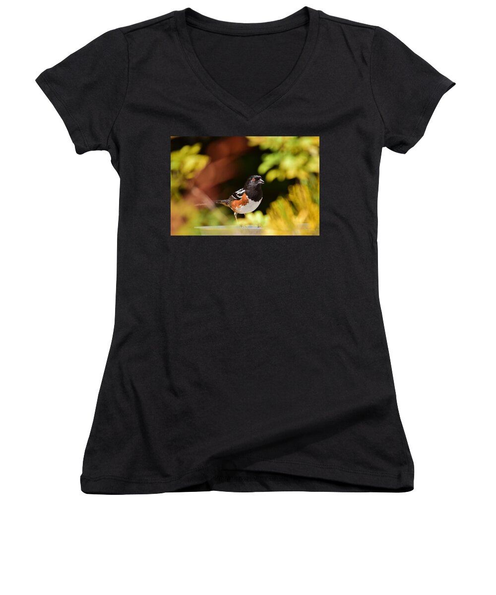 Linda Brody Women's V-Neck featuring the photograph Spotted Towhee 1 by Linda Brody