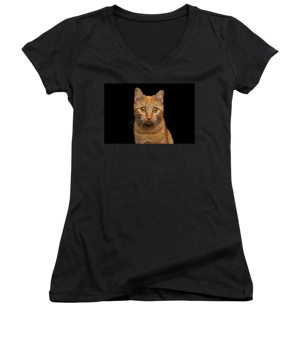 Cat Women's V-Neck featuring the photograph Sad Ginger Cat by Sergey Taran