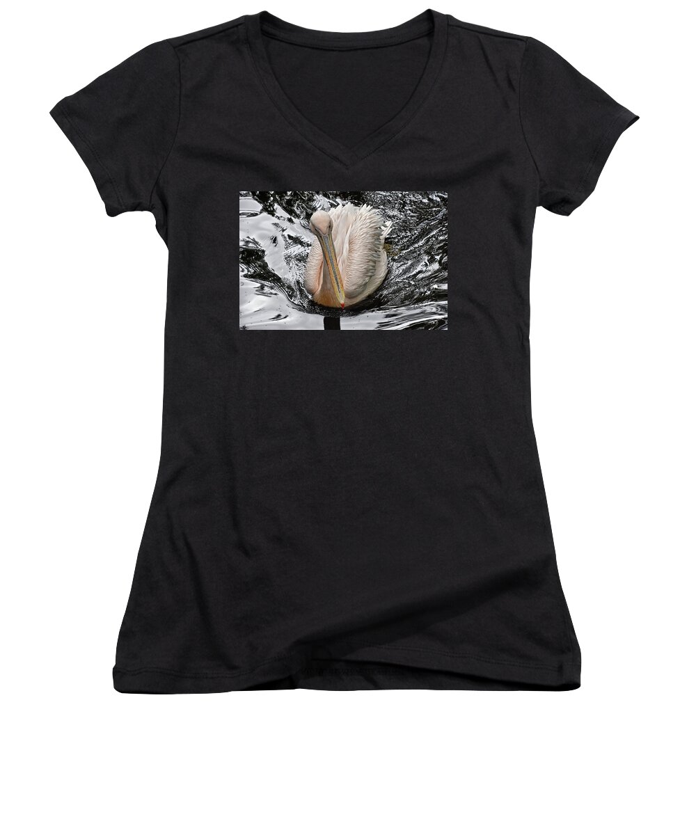 Eastern White Pelican Women's V-Neck featuring the photograph Sailing along by Kuni Photography