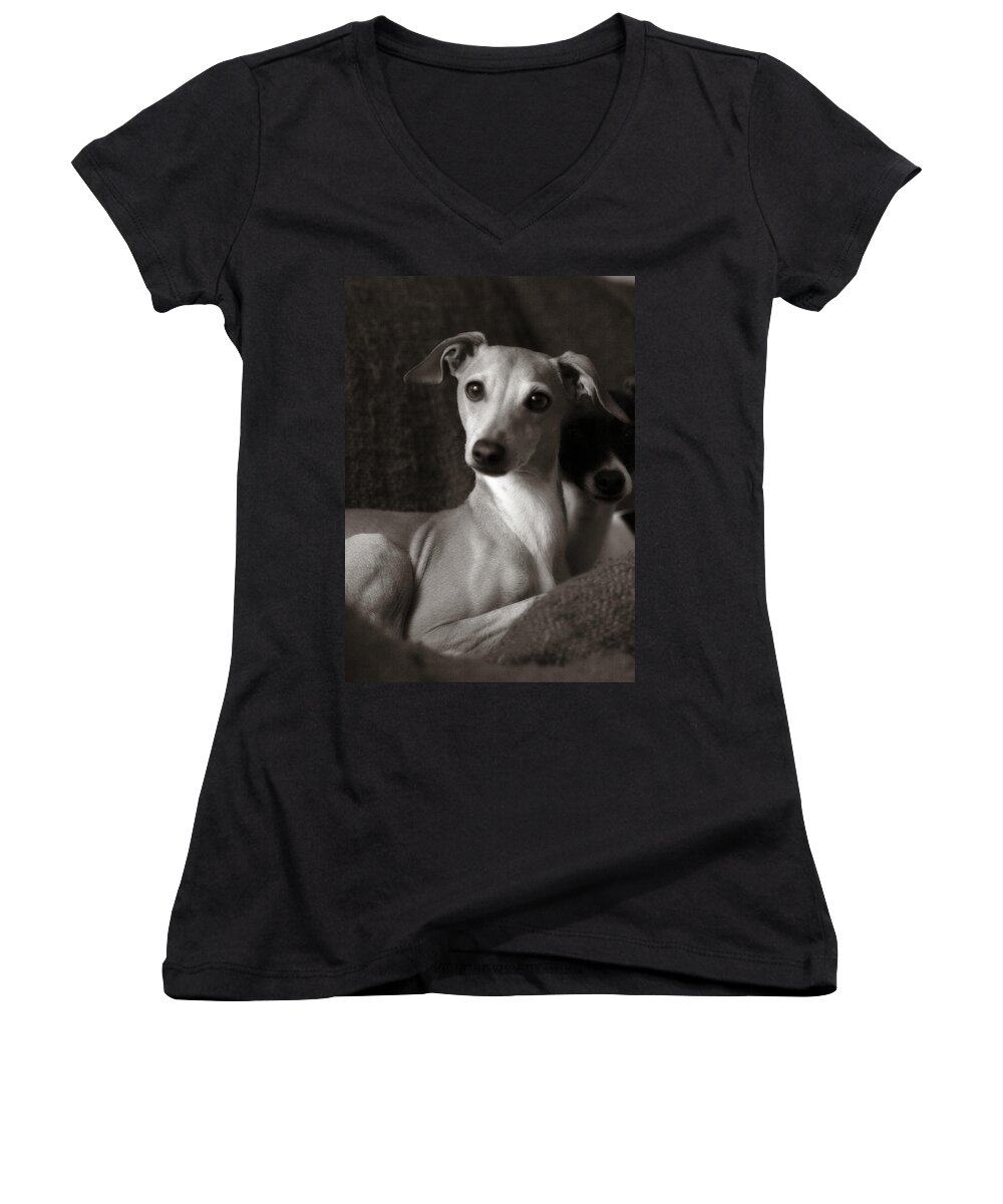 Adopt Women's V-Neck featuring the photograph Say What Italian Greyhound by Angela Rath