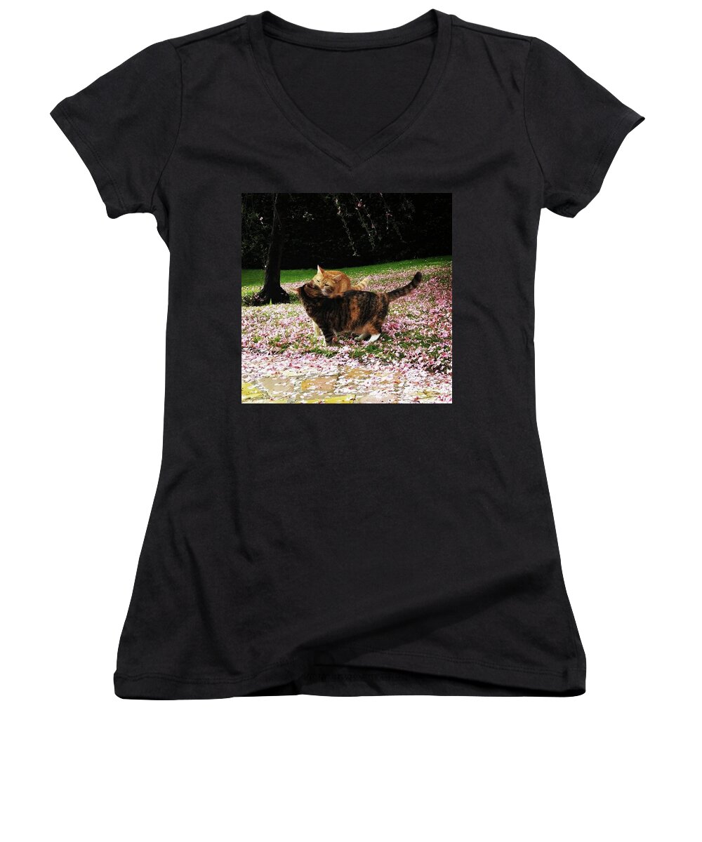 Cat Women's V-Neck featuring the photograph Cherry Blossom Kiss by Rowena Tutty