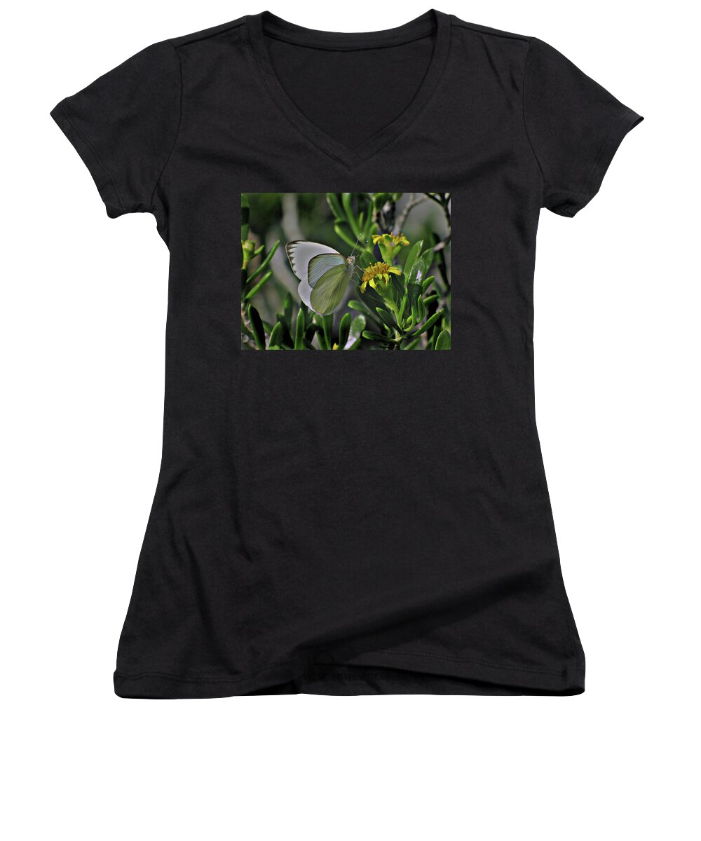Butterfly Women's V-Neck featuring the digital art Soft as a Leaf by David Bader