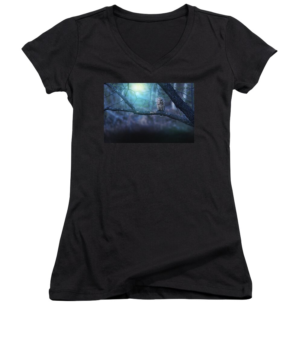  Women's V-Neck featuring the photograph Solitude - Landscape Large by Rob Blair