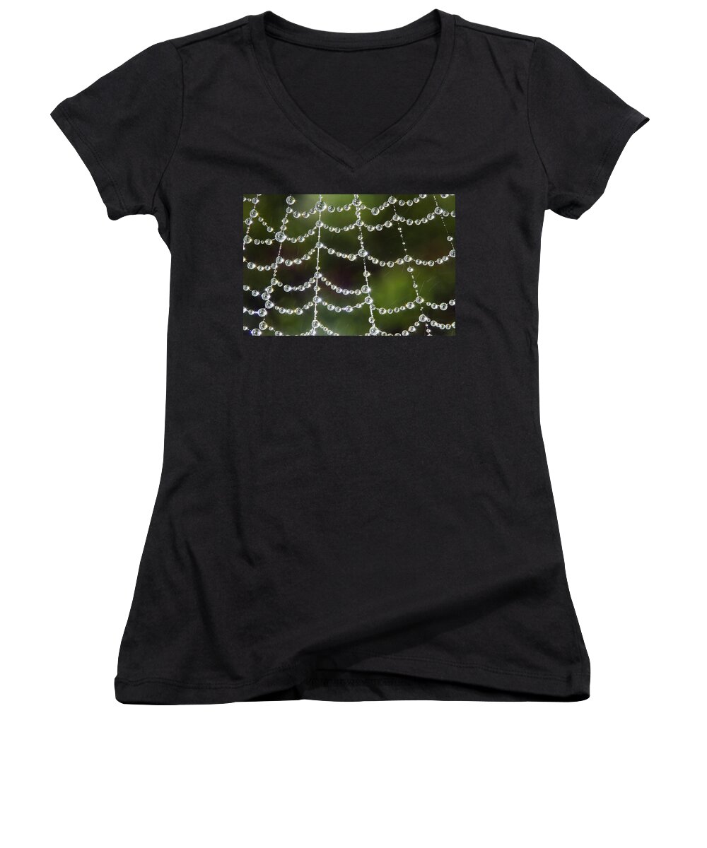Spider Web Women's V-Neck featuring the photograph Spider web decorated by morning fog by William Lee