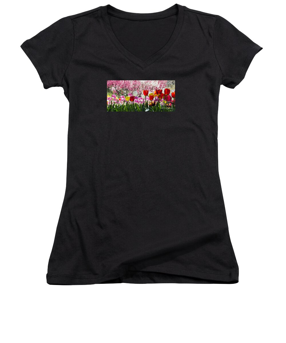 Sun Women's V-Neck featuring the photograph Spring by Angela DeFrias