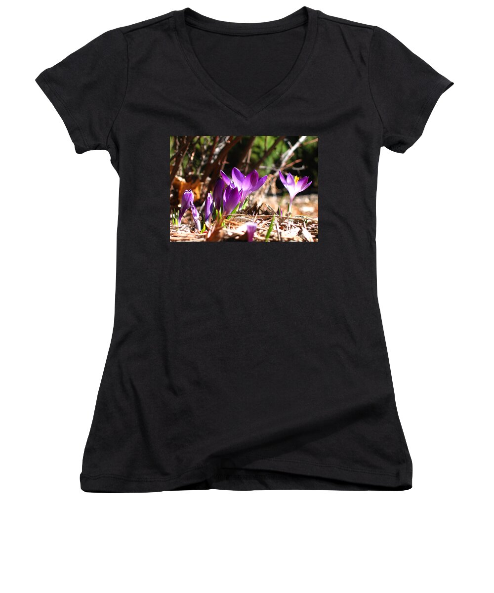Spring Women's V-Neck featuring the photograph Springtime by Laura Kinker