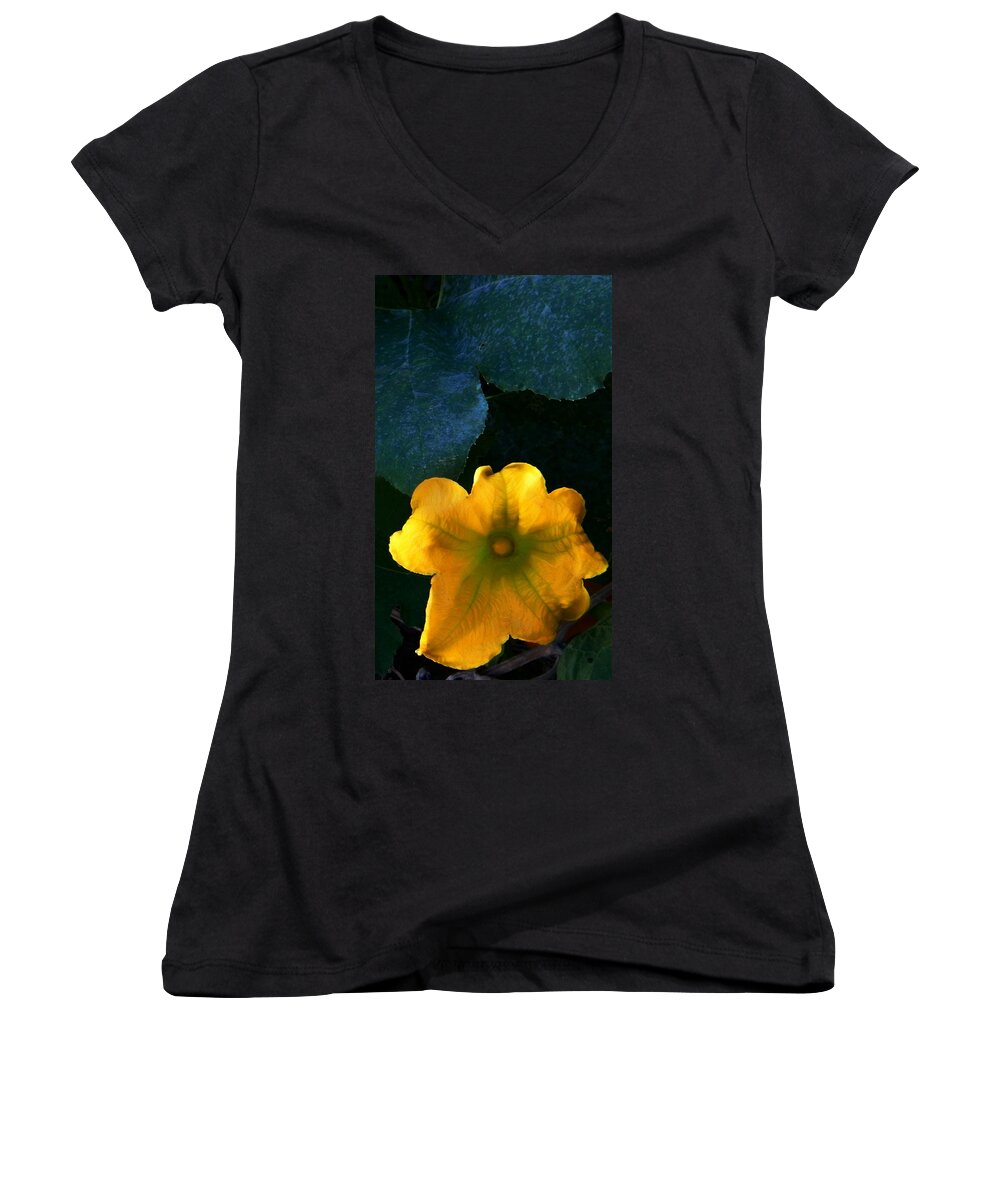 Colors Women's V-Neck featuring the photograph Squash Blossom by Lenore Senior