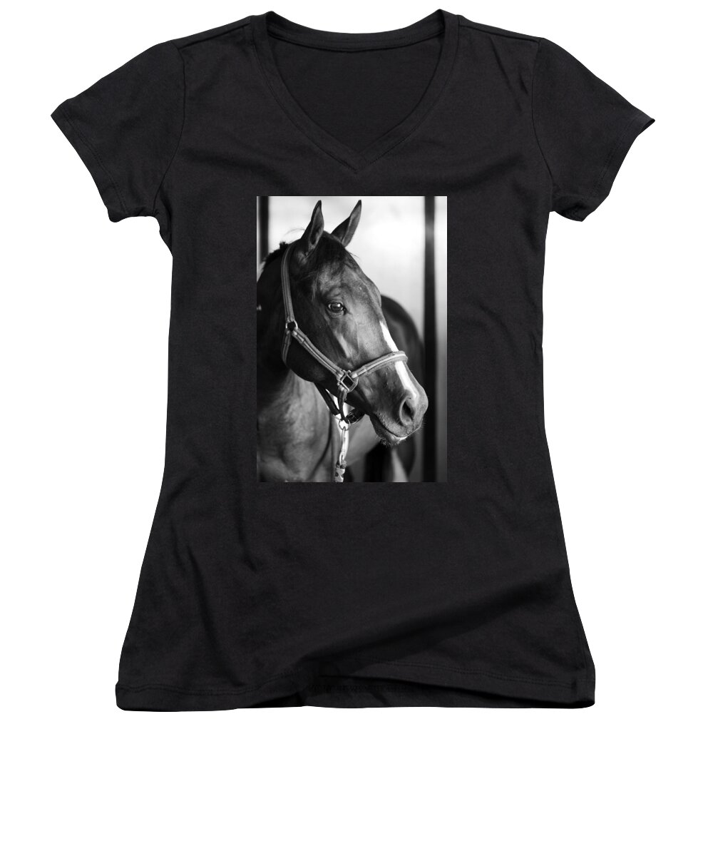 Horse Women's V-Neck featuring the photograph Horse and Stillness by Marilyn Hunt
