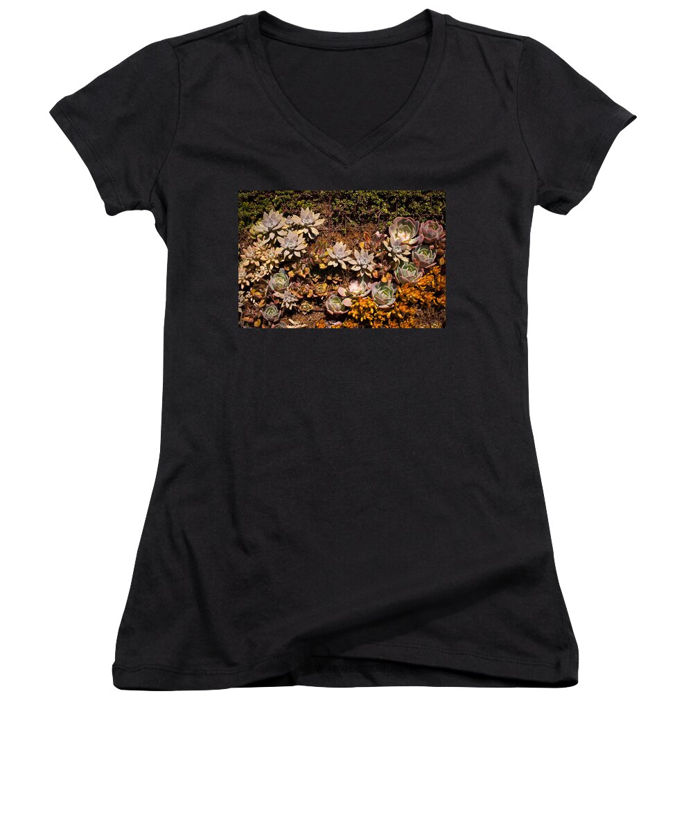 Garden Women's V-Neck featuring the photograph Succulents Vertical Garden by Catherine Lau