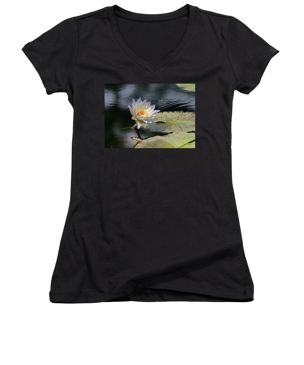 Water Lily Women's V-Neck featuring the photograph Sun Kissed Allure by Yvonne Wright