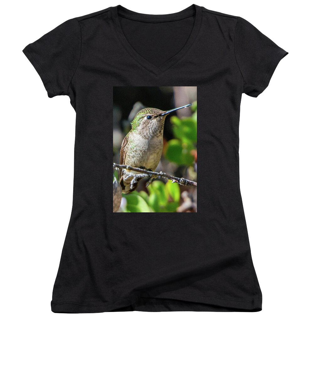 Bird Women's V-Neck featuring the photograph Taking A Break by Paul Johnson