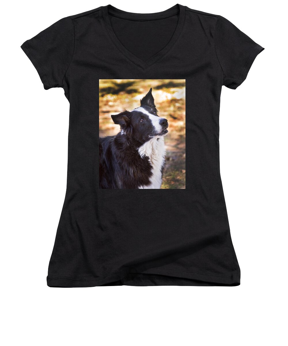 Border Collie Women's V-Neck featuring the photograph Tessie 8 by Rich Franco