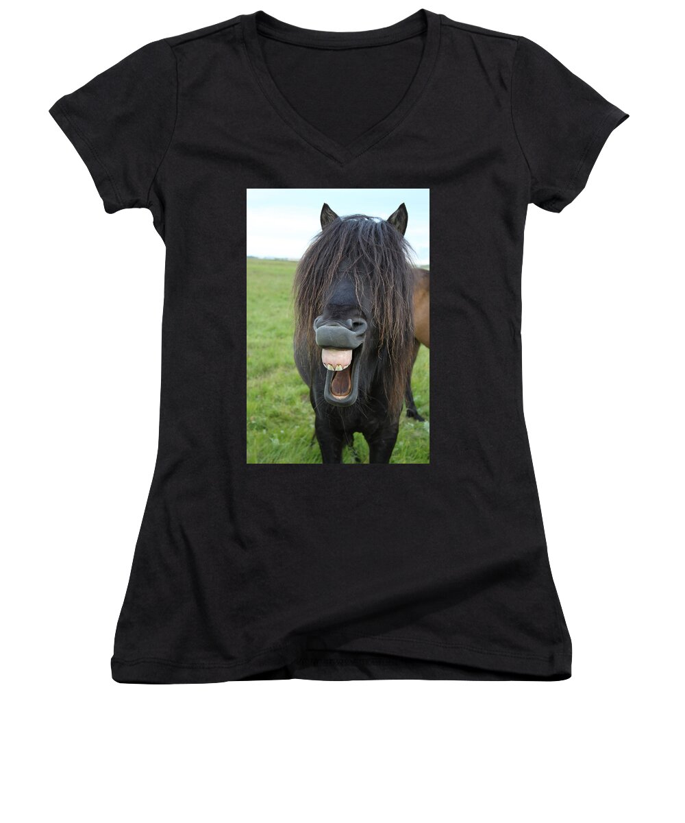 Horse Women's V-Neck featuring the photograph That Feels So Good by Tom and Pat Cory