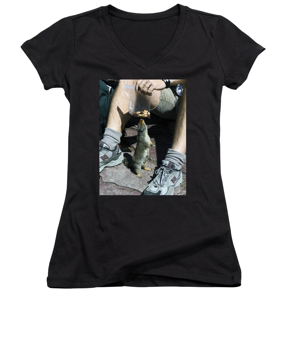 Columbian Ground Squirrel Begging Food Women's V-Neck featuring the photograph That Smells Good by Sally Weigand