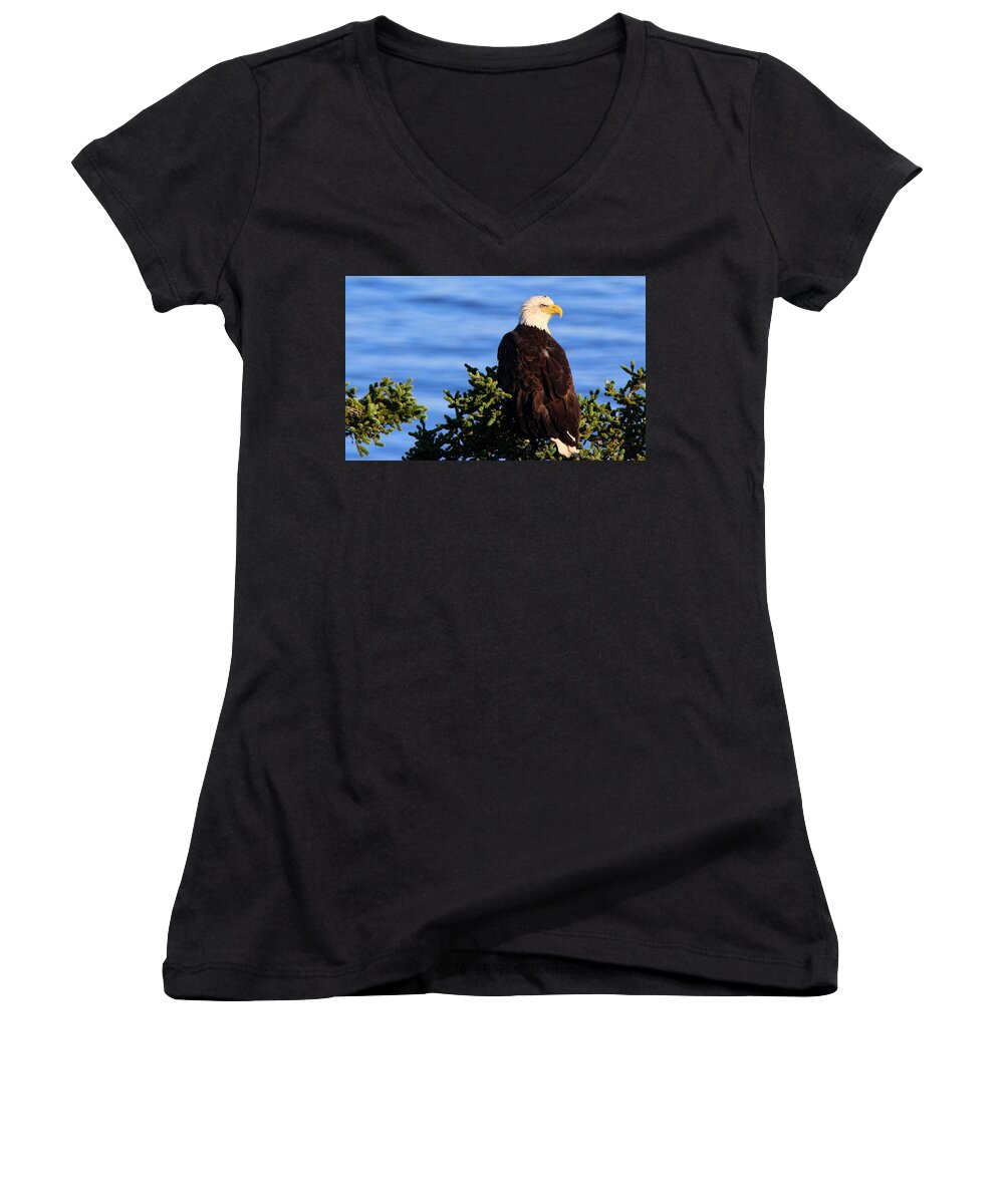 The Eagle Has Landed Women's V-Neck featuring the photograph The Eagle Has Landed by Suzanne DeGeorge