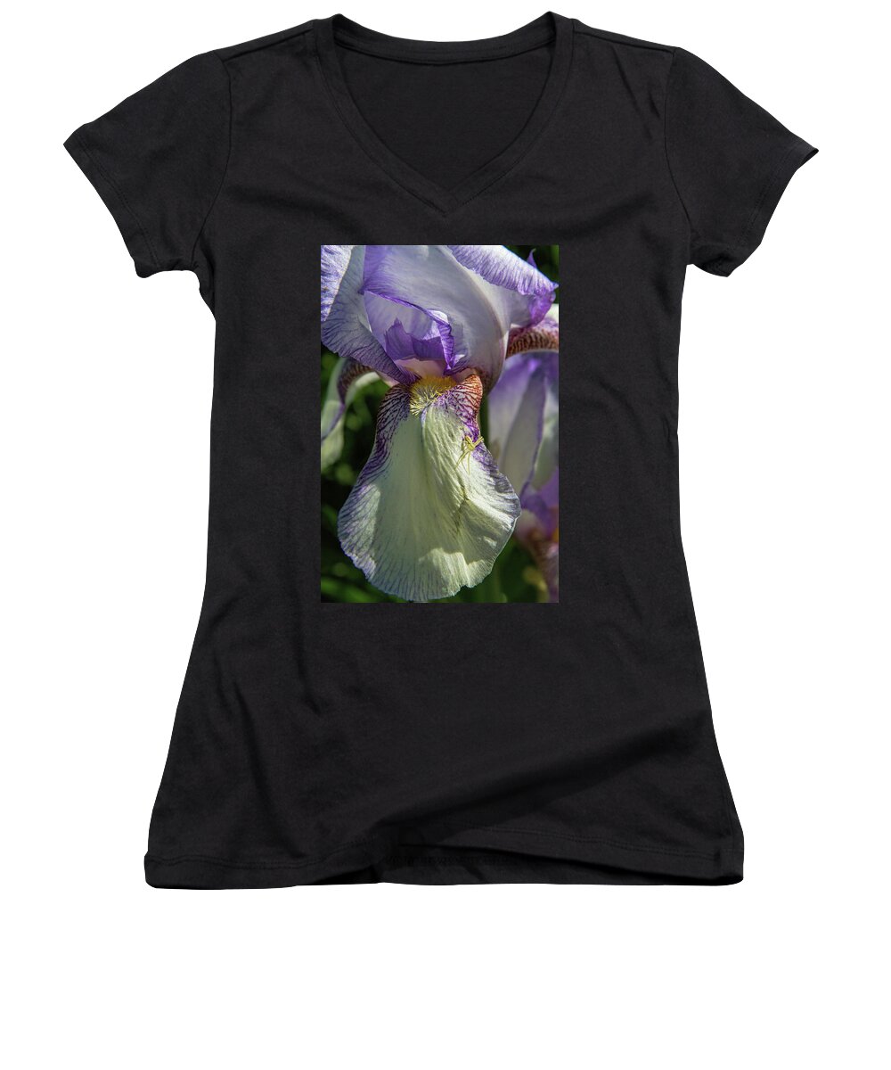 Botanical Women's V-Neck featuring the photograph The Heirloom and The Spider by Alana Thrower