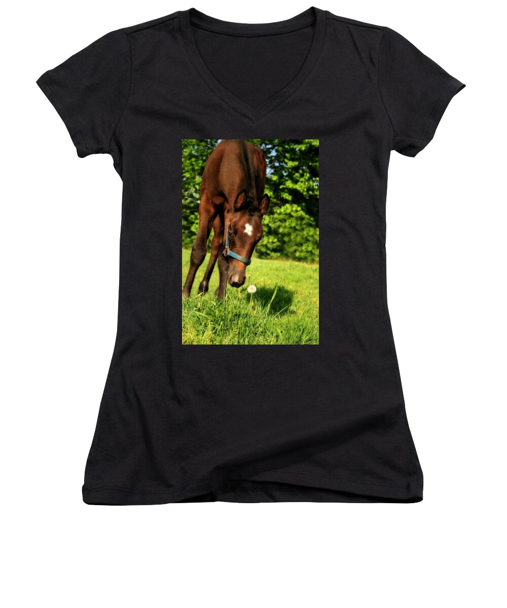 Horse Women's V-Neck featuring the photograph The Last Dandelion by Angela Rath