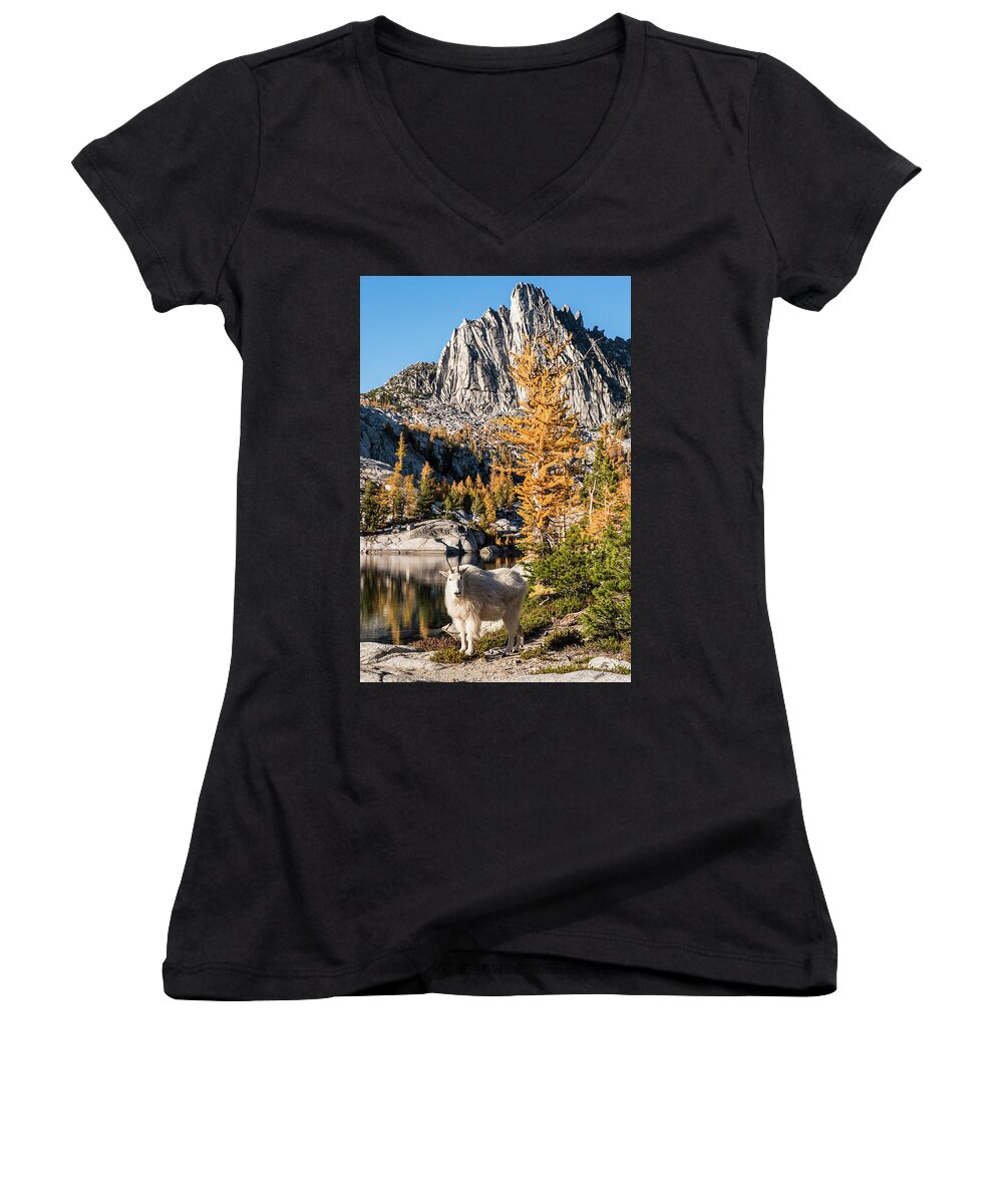 Enchantments Women's V-Neck featuring the digital art The mountain goat in the Enchantments by Michael Lee