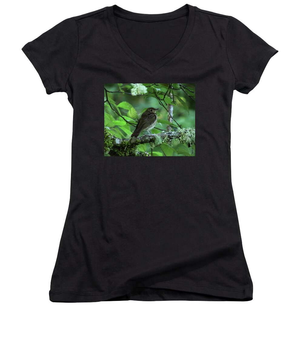 Nw Birds Women's V-Neck featuring the digital art ..The Mysterious Thrush.. by I'ina Van Lawick