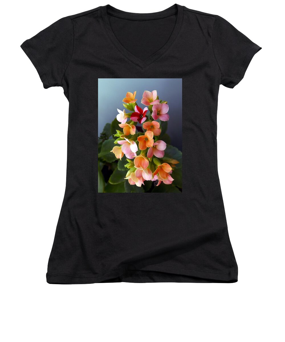 Kalanchoe Women's V-Neck featuring the photograph The Special One by Danielle R T Haney