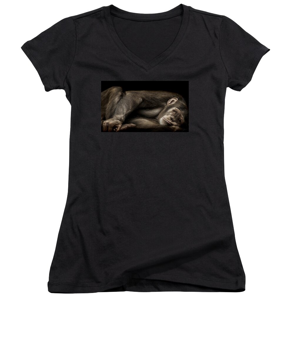 Chimpanzee Women's V-Neck featuring the photograph The Teenager by Paul Neville