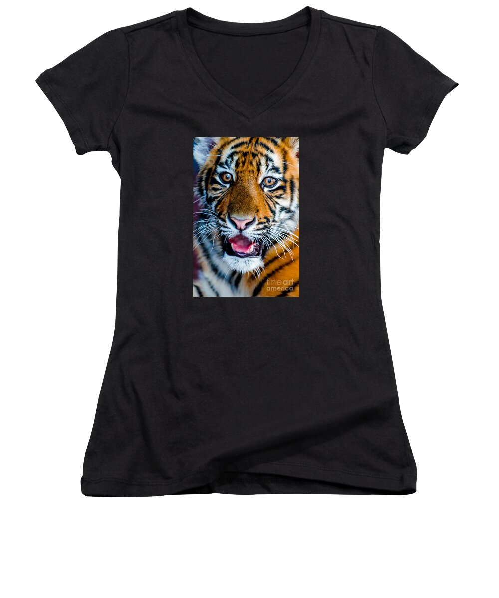 Animal Women's V-Neck featuring the photograph Tiger by Ray Shiu
