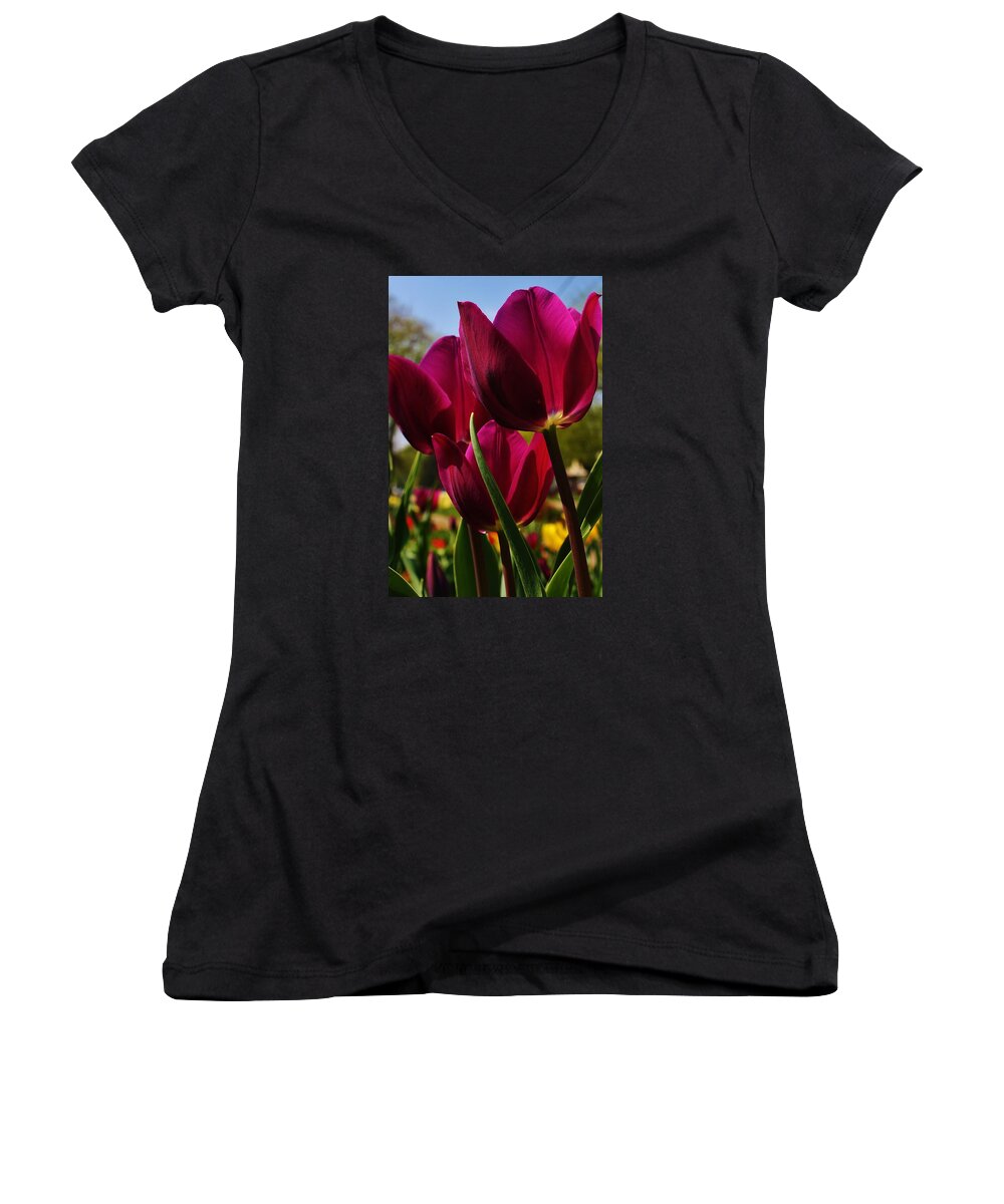 Flora Women's V-Neck featuring the photograph Tip Toe through the Tulips by Bruce Bley