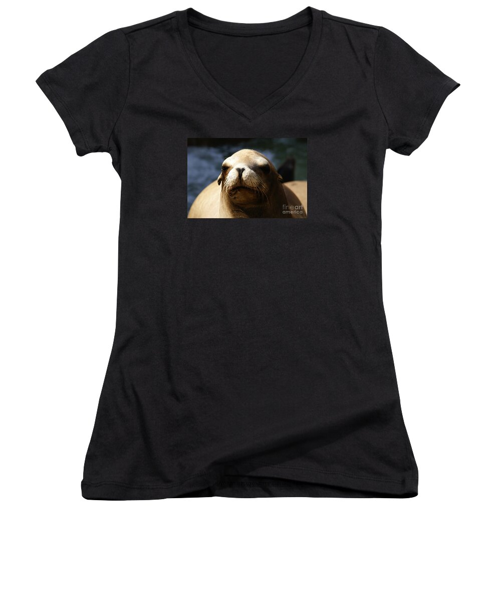 Eared Seal Women's V-Neck featuring the photograph To Bask in Royal Sun by Linda Shafer