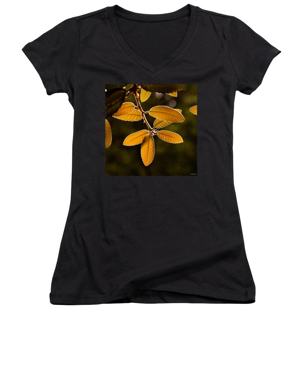 California Women's V-Neck featuring the photograph Translucent Leaves by Alexander Fedin