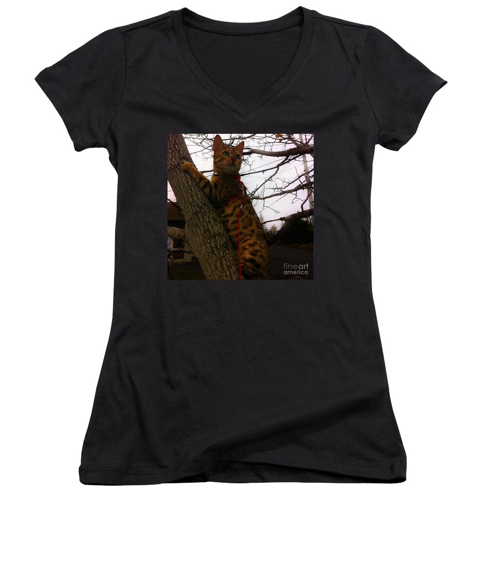 Tree Climbing Bengal Cat Women's V-Neck featuring the photograph Tree Climbing Bengal Cat by Barbara A Griffin