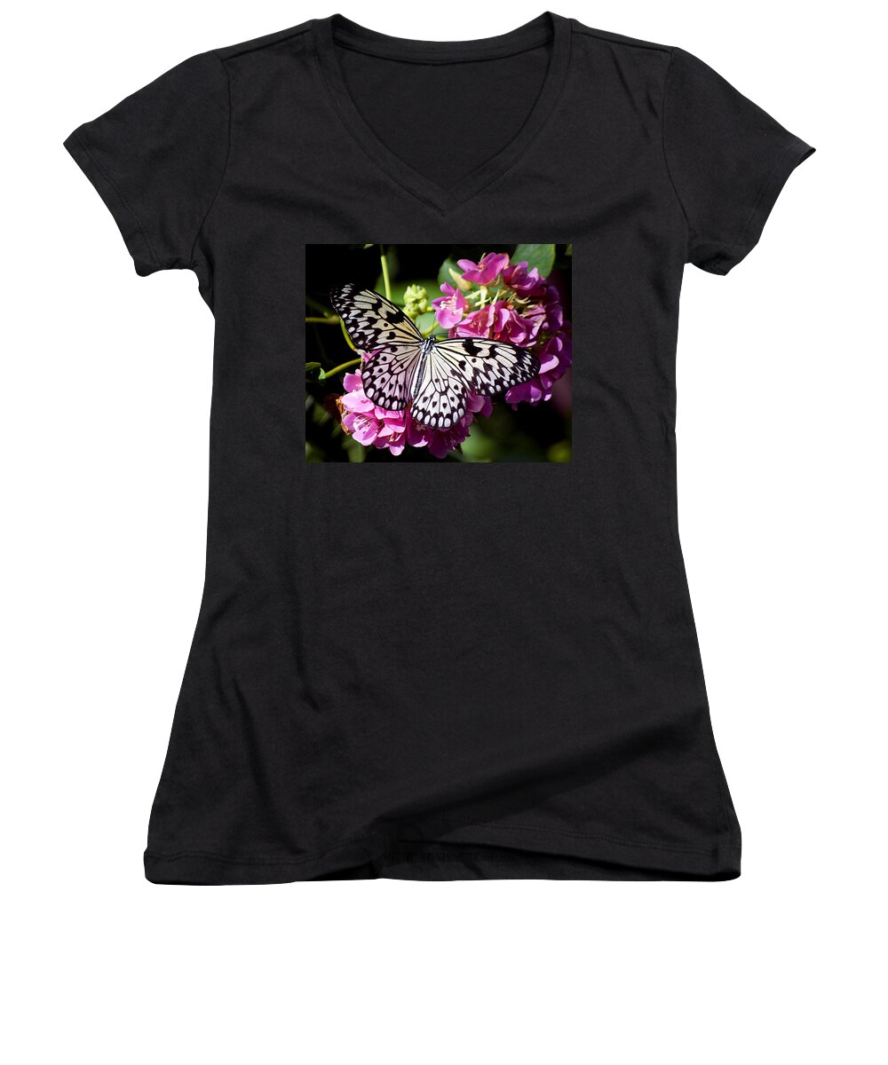 Wildlife Women's V-Neck featuring the photograph Tree Nymph Butterfly by Kenneth Albin