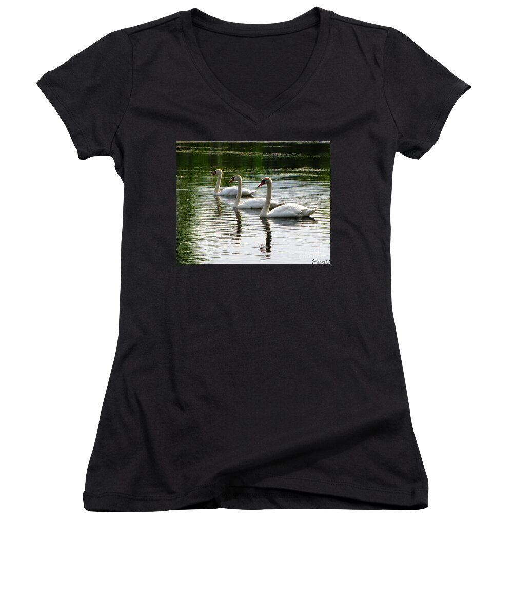 Swans Women's V-Neck featuring the photograph Triplet Swans by September Stone