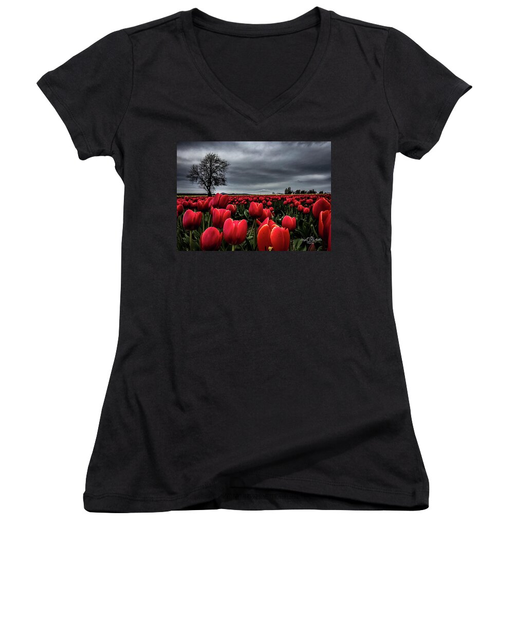 Skagit Women's V-Neck featuring the photograph Tulip Fields by Steph Gabler