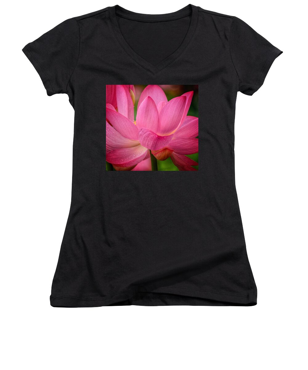 Bees Women's V-Neck featuring the photograph Two Blooms by Kathi Isserman