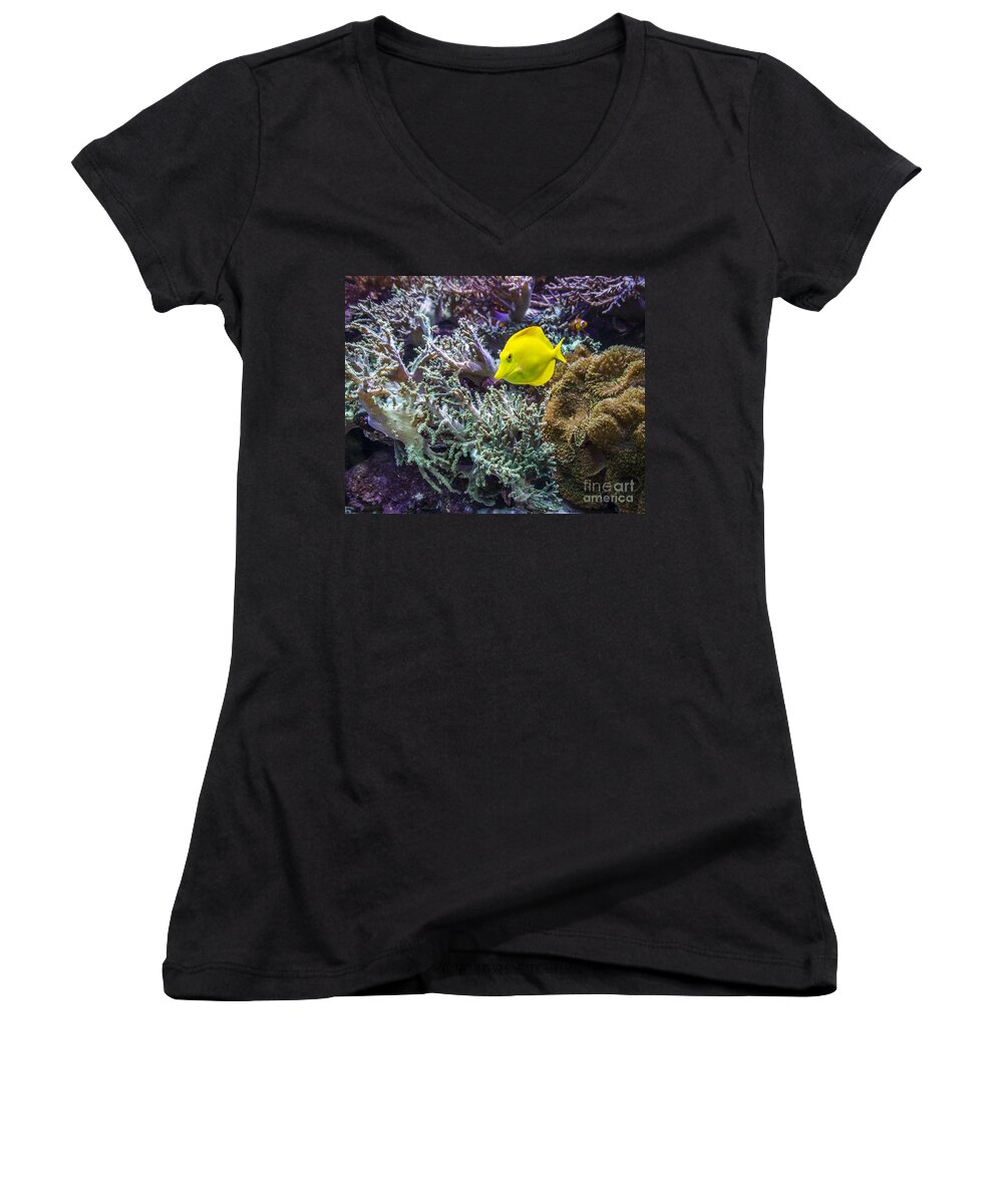 Fish Women's V-Neck featuring the photograph Vivid Fish by Joann Long